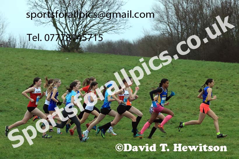 Girls under-13s 2023 North Eastern Cross Country Champs., Temple Park, South Shields. Photo: David T. Hewitson/Sports for All Pics